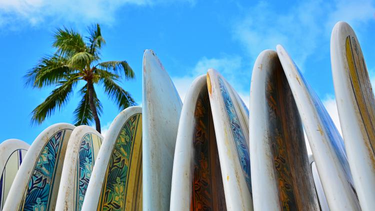 Honolulu Thumbnail