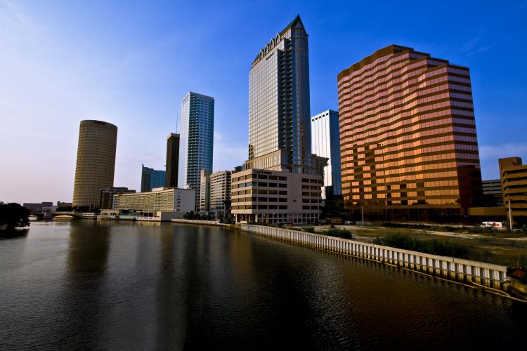 Tampa Thumbnail