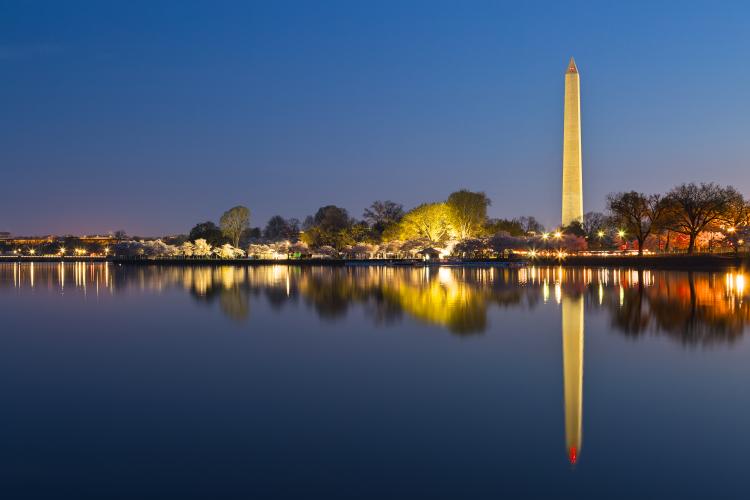 Washington Thumbnail